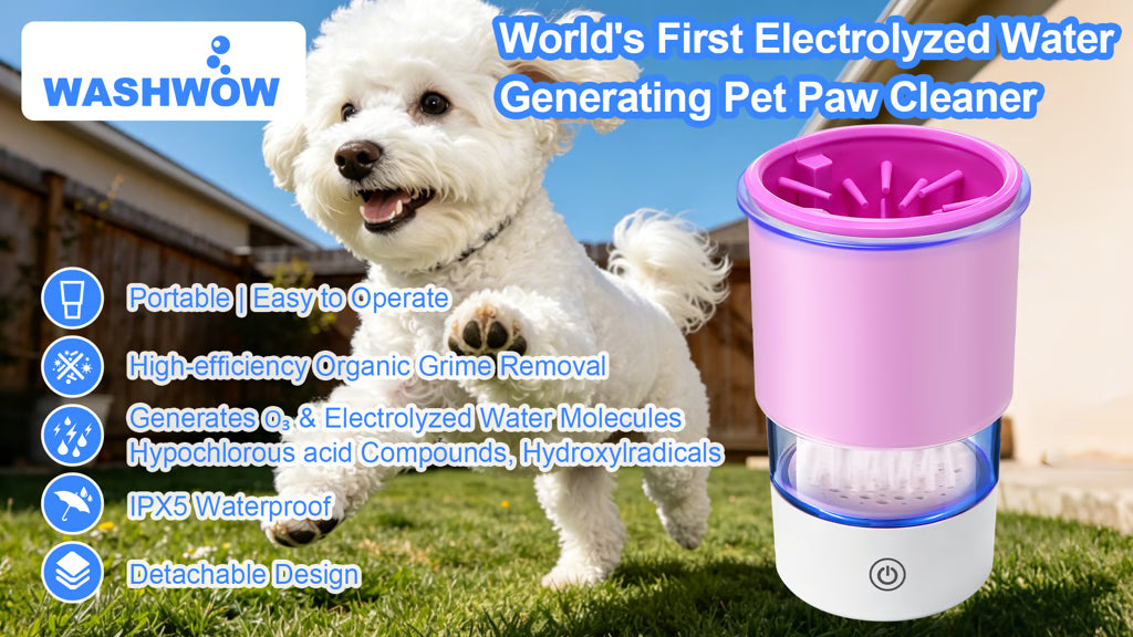 BackerOnline featured project: WASHWOW P1: Electrolyzed Water Generating Pet Paw Cleaner